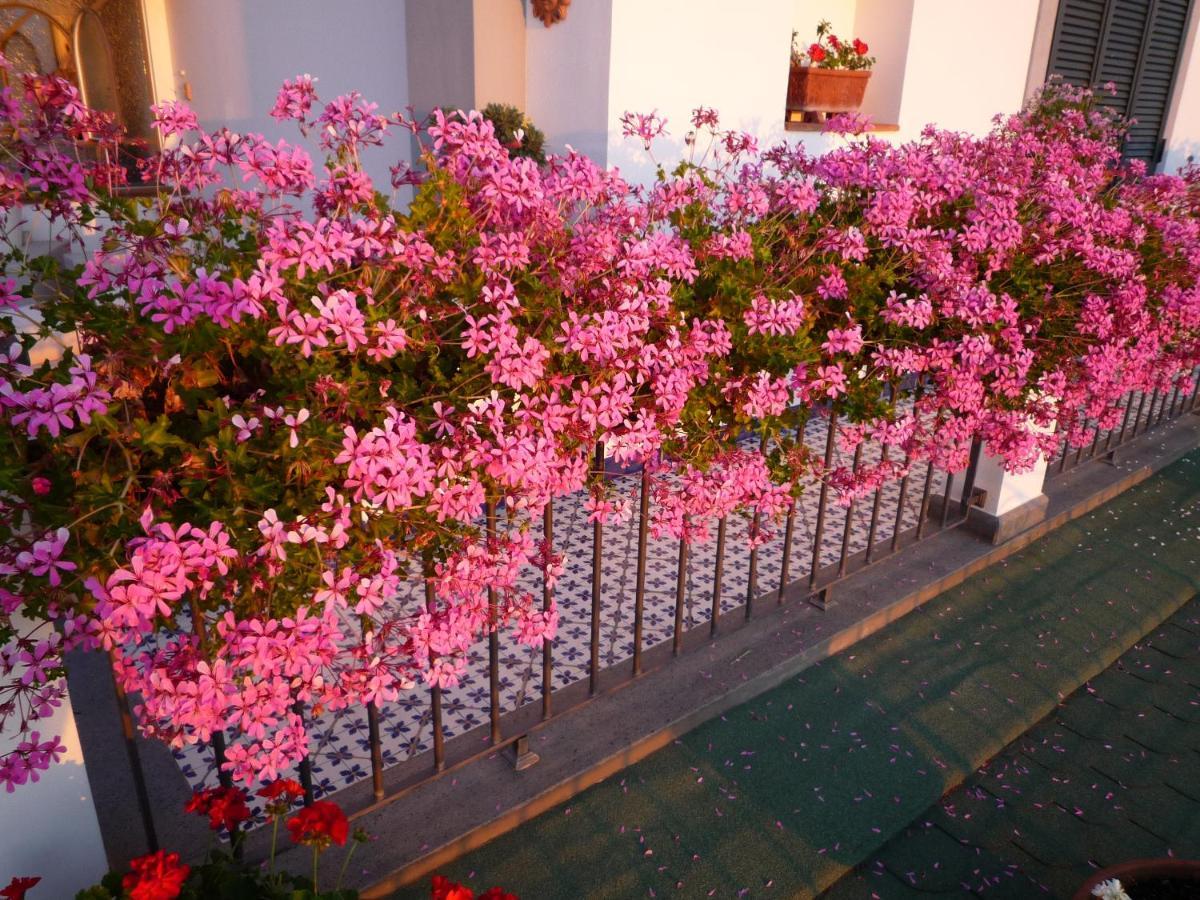 باكولي B&B Dea Fortuna المظهر الخارجي الصورة